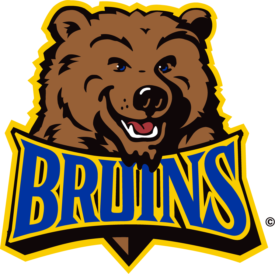 UCLA Bruins 1996-2004 Alternate Logo DIY iron on transfer (heat transfer)